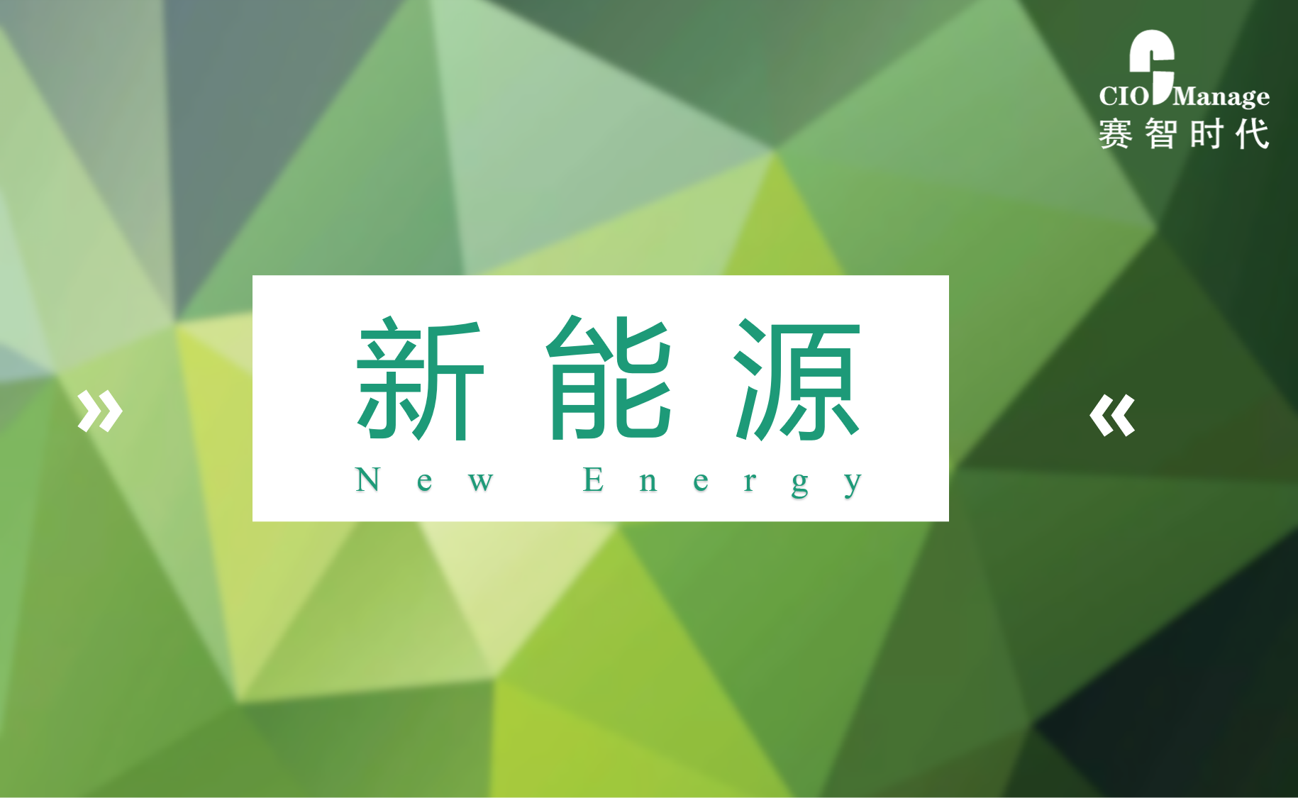 赛智时代：中国新能源产业发展研究
