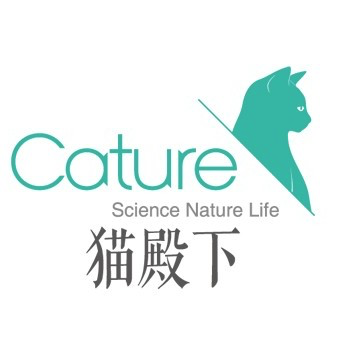 Cature小壳
