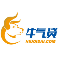 上海牛气金融信息服务有限公司（吊销）